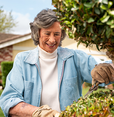 Woman cutting plants